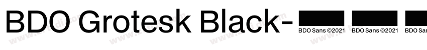 BDO Grotesk Black字体转换
